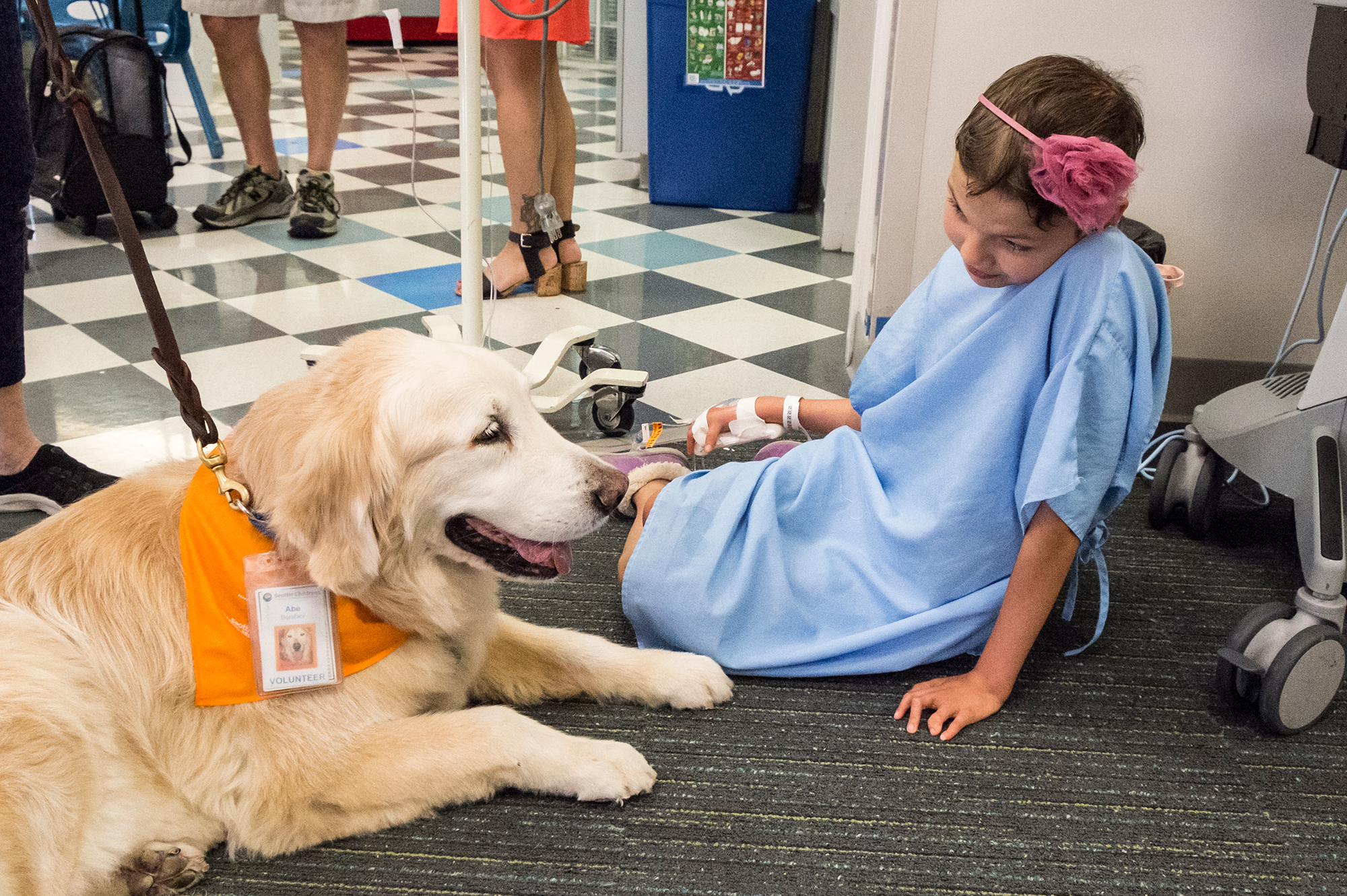 are therapy dogs allowed in hospitals