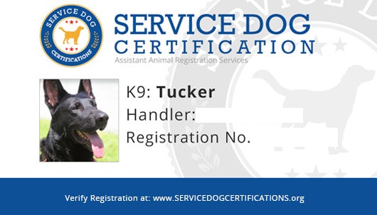 ada service dog requirements 2018