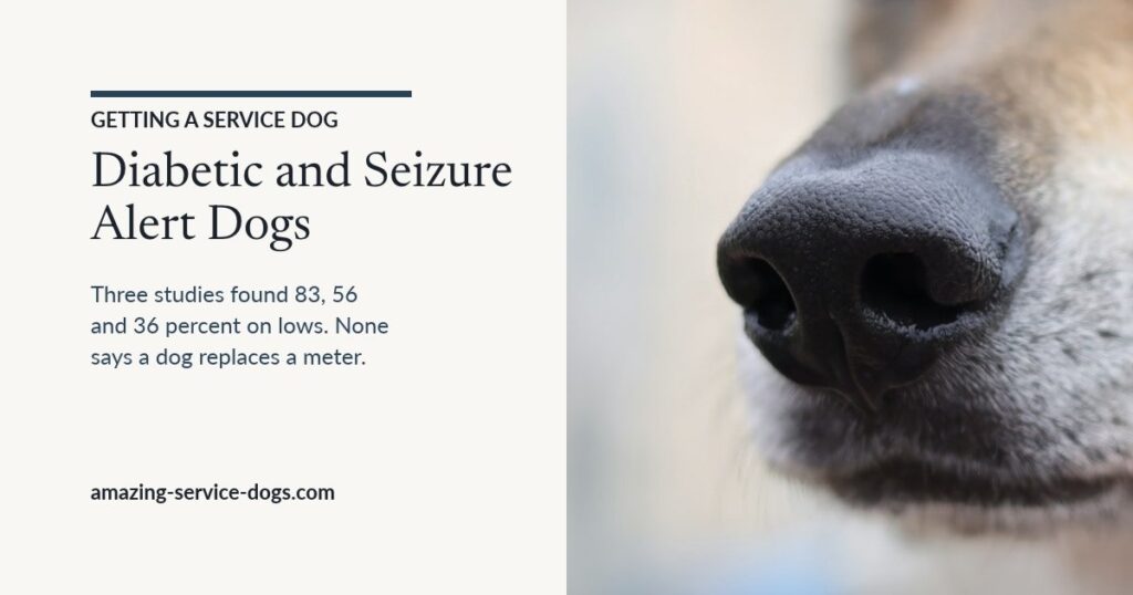 Featured card reading Diabetic and Seizure Alert Dogs. Three studies found 83, 56 and 36 percent on lows. None says a dog replaces a meter. Photo of a close-up of a dog's nose.