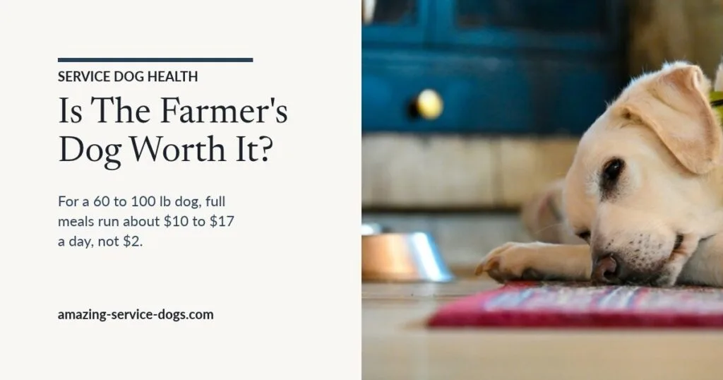 Featured card reading Is The Farmer's Dog Worth It? For a 60 to 100 lb dog, full meals run about $10 to $17 a day, not $2. Photo of a pale Labrador lying on the floor beside a steel food bowl.