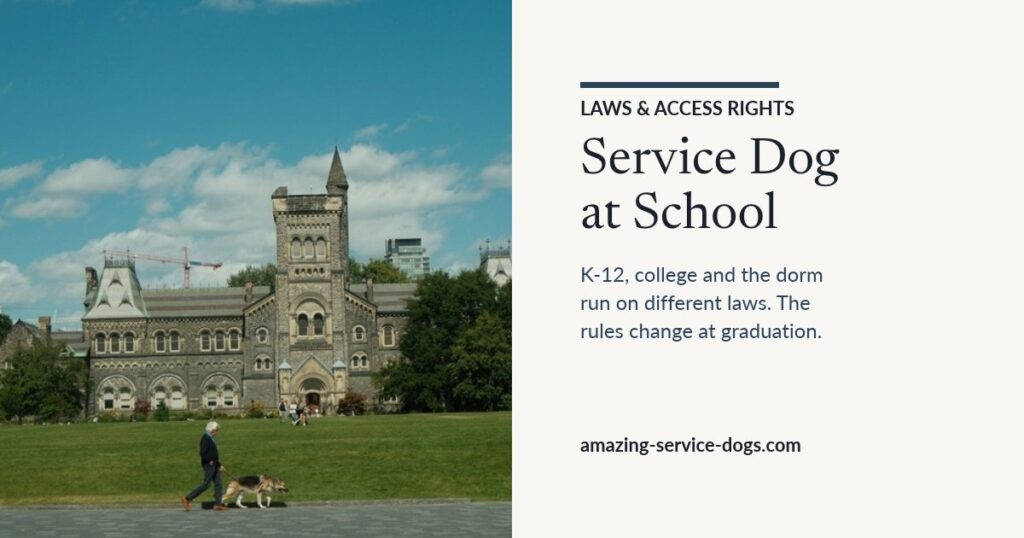 Featured card reading Service Dog at School. K-12, college and the dorm run on different laws. The rules change at graduation. Photo of an older man walking a German shepherd across a lawn in front of a stone university building.